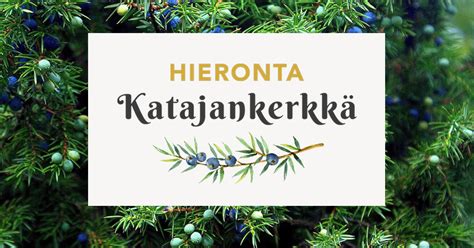 raskaushieronta seinjoki|Hieronta 